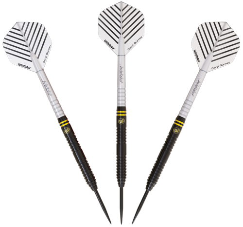 3D Grafik Darts von Daryl Gurney