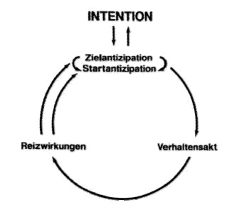 psychodruck