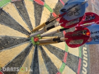 Phil Taylor Darts