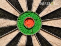 Winmau Dartscheibe