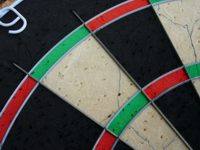 Winmau Dart Scheibe