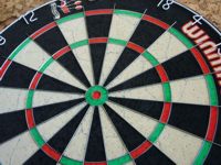 Winmau-Dartboard