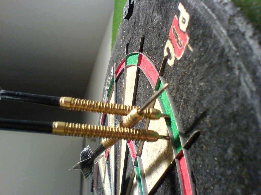 Dart Training